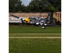 Hangar 9 P-51D Mustang 20cc ARF