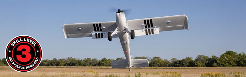 E-flite Timber 1.5m 10th Anniversary Special Edition