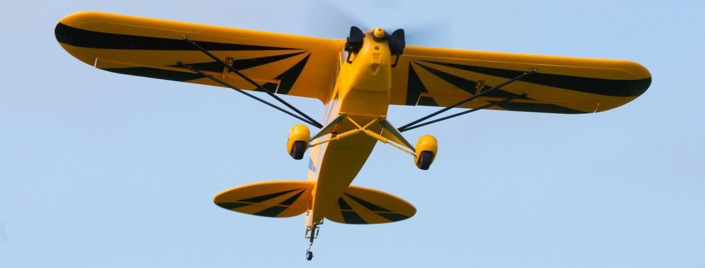 Clipped Wing Cub