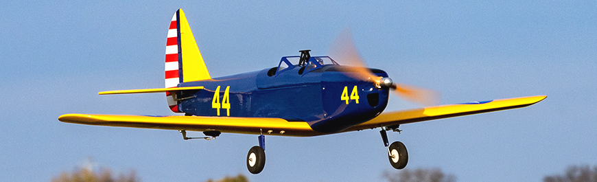 Fairchild PT19