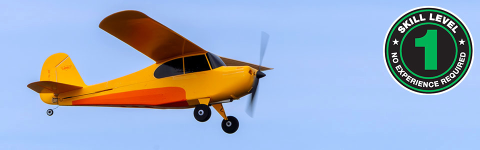 Hobbyzone Champ Anniversary Special Edition 515mm