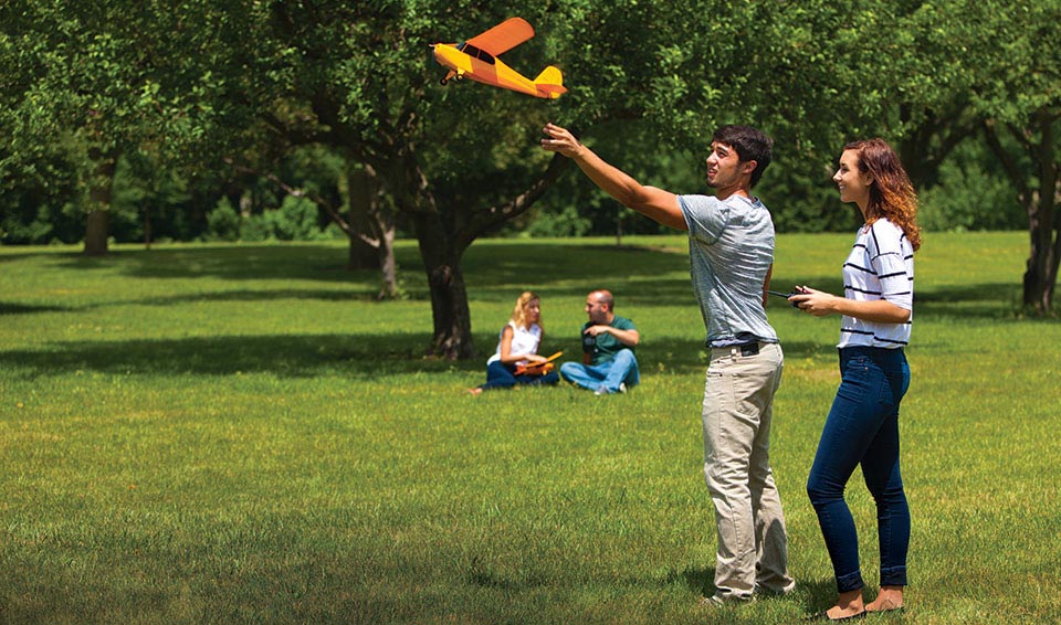 Hobbyzone Champ Anniversary Special Edition 515mm