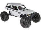 Axial Wraith Spawn 1:10 4WD RTR