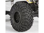 Axial Wraith Spawn 1:10 4WD RTR