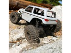 Axial Wraith Spawn 1:10 4WD RTR