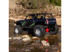 Axial Wraith 1.9 4WD 1:10 RTR czarny
