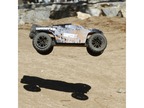 ECX Circuit Stadium Truck 4WD 1:10 RTR