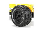 ECX Ruckus Monster Truck 4WD BL AVC 1:10 RTR