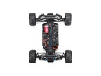 ECX Circuit Stadium Truck 4WD BL AVC 1:10 RTR