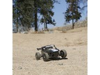 ECX Roost Desert Buggy 4WD 1:18 pomarańczowy