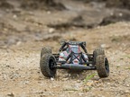 ECX AMP Desert Buggy 1:10 2WD RTR biało/czerwony