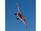 E-flite Carbon-Z Cub 2m PNP