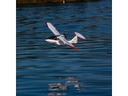 ICON A5 BNF Basic