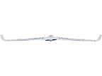 E-flite Opterra 2M Wing BNF Basic