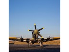 Spitfire Mk XIV 1.2m BNF Basic