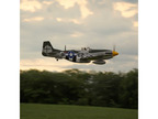 Hangar 9 P-51D Mustang 1.8m 20cc ARF