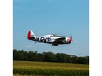 P-47D Thunderbolt 20cc ARF