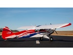 Hangar 9 Carbon Cub FX-3 100-200cc ARF