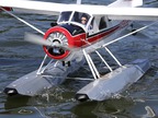 DHC-2 Beaver 30cc ARF