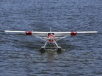 DHC-2 Beaver 30cc ARF