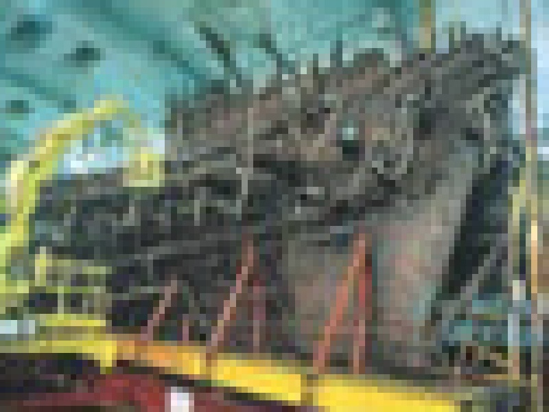 CALDERCRAFT Mary Rose 1509 1:80 kit