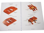 CALDERCRAFT H.M.S. Victory 1805 1:72 kit