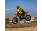 Losi Motocykl Promoto-MX 1:4 RTR Combo, Pro Circuit