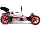 Losi Mini JRX2 1:16 RTR