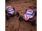 Losi Tenacity Desert Buggy Pro 1:10 4WD Smart RTR Fox Racing