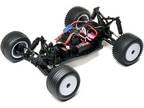 Losi Mini-T 2.0 Brushless 1:18 RTR niebiesko/biały