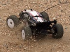 Losi Micro-Truggy 1:24 4WD RTR niebieski