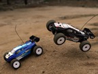 Losi Micro-Truggy 1:24 4WD RTR