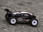 Losi Micro-Truggy 1:24 4WD RTR niebieski