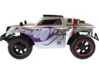 NINCORACERS Bulldog+ 1:18 2.4GHz RTR