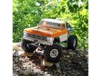 Vaterra Ford F-100 1968 Ascender 1:10 BND