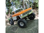 Vaterra Ford F-100 1968 Ascender 1:10 BND