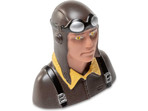 Hangar 9 pilot: Fun Scale PT-19