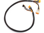Spektrum kabel ładowania IC3 z balanserem JST-XH 2-6S 60cm