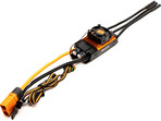 Spektrum regulator Smart Avian 130A BL 3S-6S