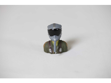 E-flite pilot: Su-30 70mm EDF / EFL01091