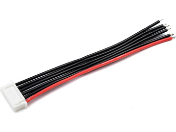Kabel balansera 5S-XH męski (10cm) / GF-1410-004