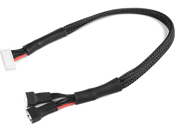 Kabel balansera 6S-XH - 2x 3S-XH (30cm) / GF-1420-001