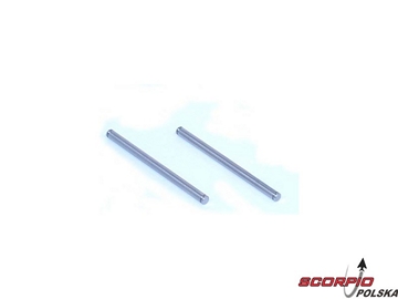Inner Rear Hinge Pin: XXX. XXX-T. NT. ST. SNT Inner Rear Hinge Pin: XXX. XXX-T. NT. ST. SNT / LOSA2166