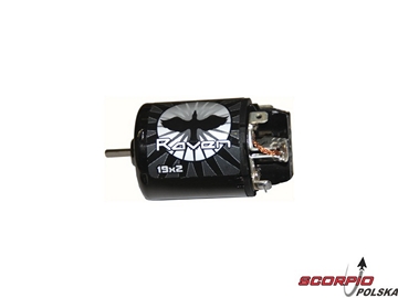 RST/BX - Motor Modified 19T Double / PEK1247