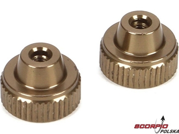 TLR SCTE 2.0: Nakrętki mocowania akumulatora (2) TLR SCTE 2.0: Nakrętki mocowania akumulatora (2) / TLR231003