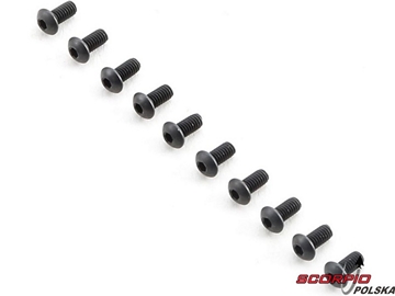 TLR Śruba BH M2.5x5mm (10) TLR Śruba BH M2.5x5mm (10) / TLR255001
