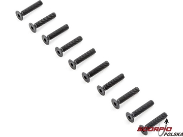 TLR Śruba FH M4x20mm (10) TLR Śruba FH M4x20mm (10) / TLR255014