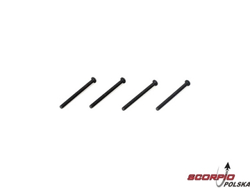 Button Head Screws M3 x 40mm (4) / TLR5907